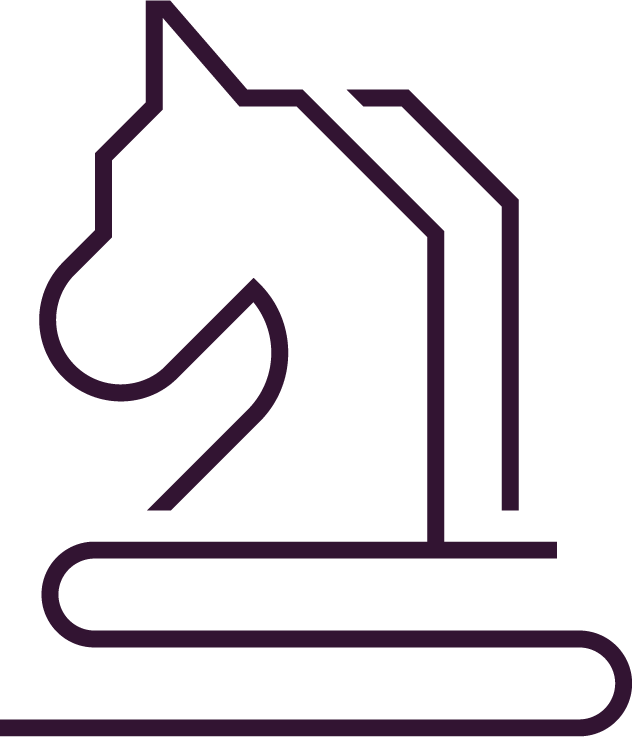 HX iconography Chess